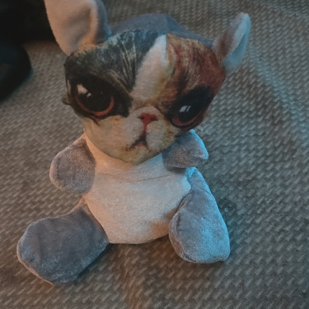 Cute Plush cat stuffed animal